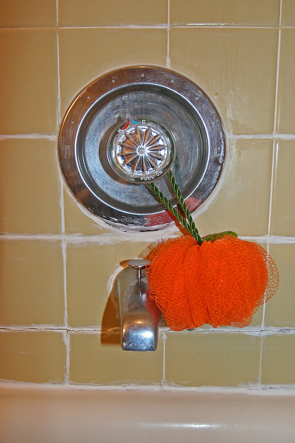 Bathroom Grout Cleaning